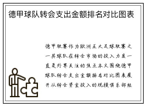 德甲球队转会支出金额排名对比图表